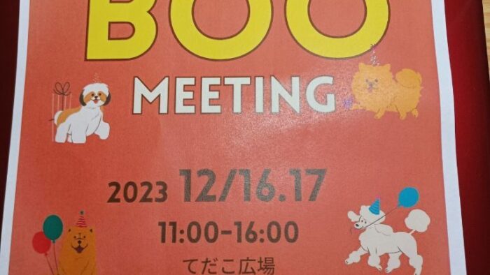 🎄わんちゃんとXmas🎄BOO 🐶MEETING🐶